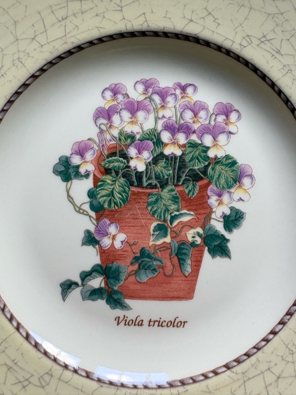 Wedgwood (3) Sarah’s Garden- 1997 Floral Accent salad Plates - Made in England - Picture 8 of 16